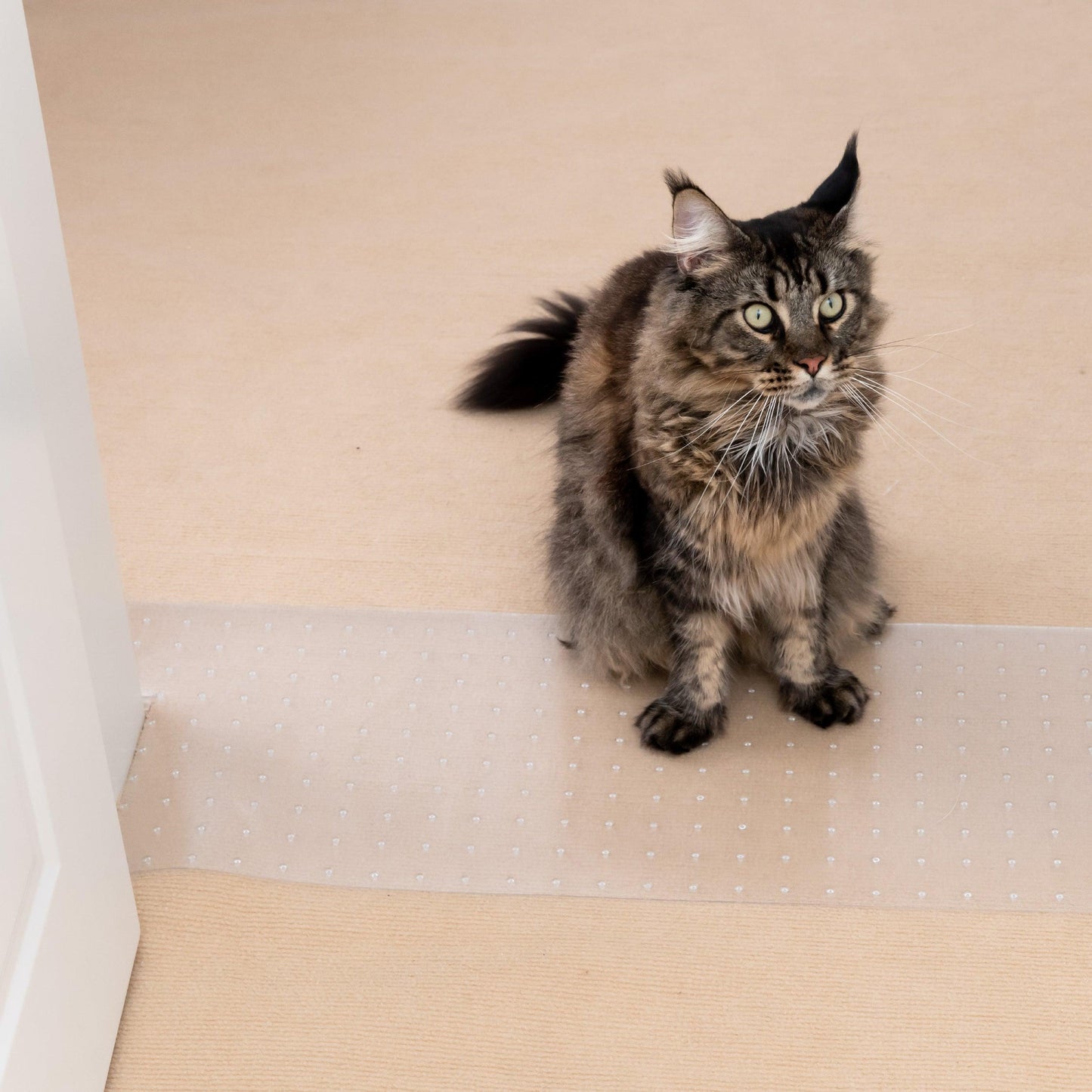 Scratch-Proof Carpet Protector for Doorways - Panther Armor