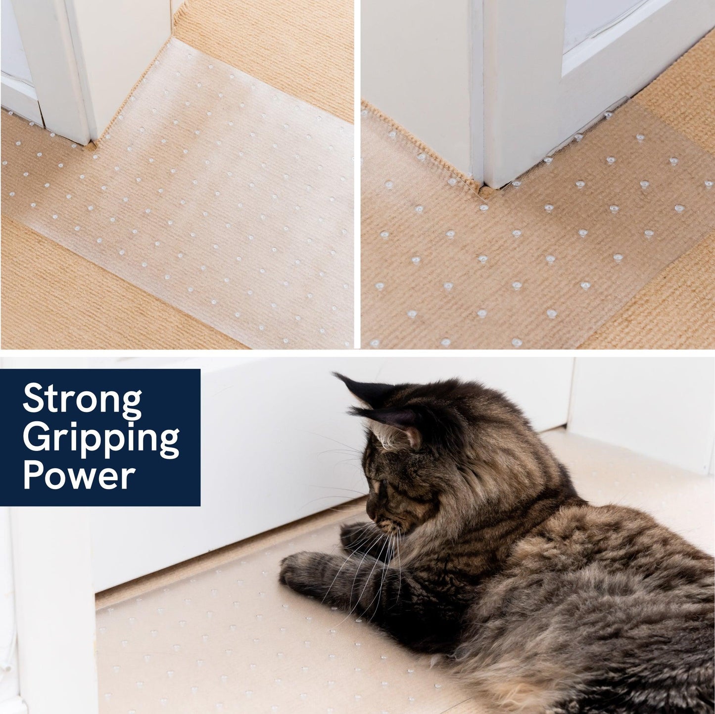 Scratch-Proof Carpet Protector for Doorways - Panther Armor