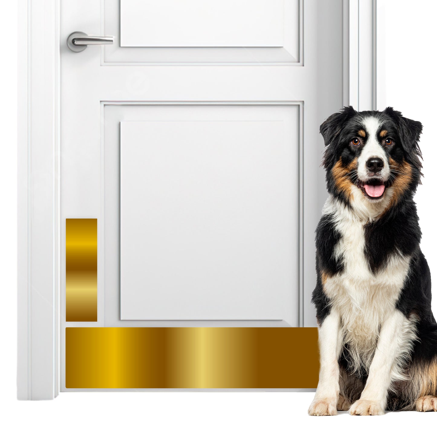 Stainless Steel Scratch Guard for Doors [Gold]