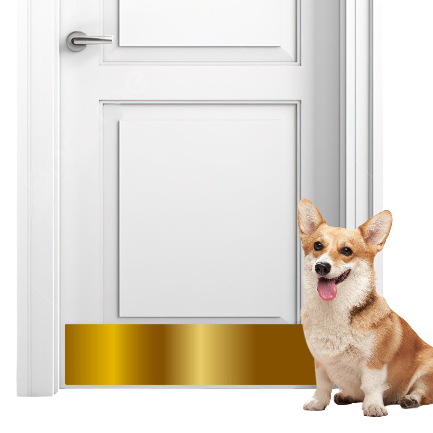 Stainless Steel Scratch Guard for Doors [Gold]